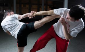 picture of two men practicing martial arts